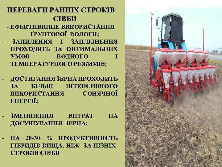 ПЕРЕВАГИ РАННІХ СТРОКІВ СІВБИ - ЕФЕКТИВНІШЕ ВИКОРИСТАННЯ ҐРУНТОВОЇ ВОЛОГИ; - ЗАПИЛЕННЯ І ЗАПЛІДНЕННЯ ПРОХОДЯТЬ