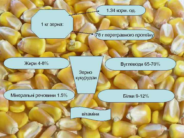 1. 34 корм. од. 1 кг зерна: 78 г перетравного протеїну Жири 4 -8%