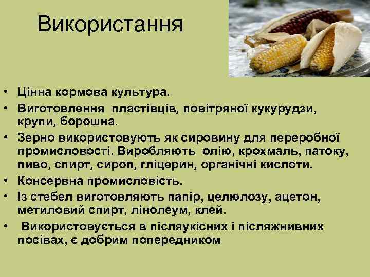 Використання • Цінна кормова культура. • Виготовлення пластівців, повітряної кукурудзи, крупи, борошна. • Зерно