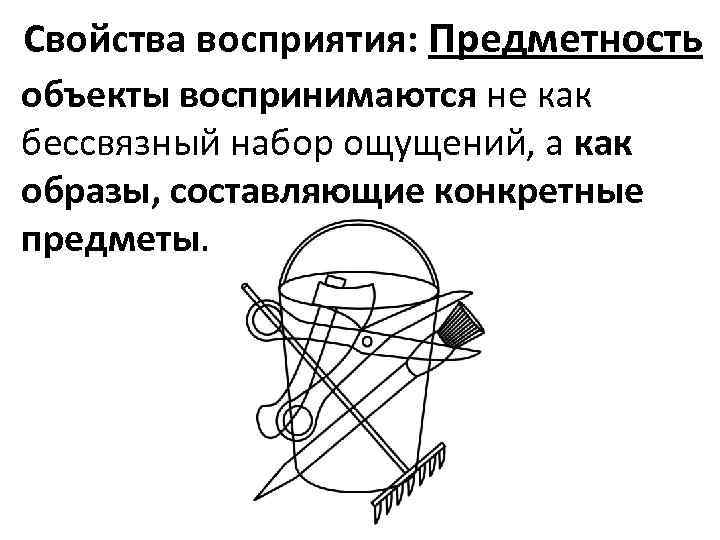 Свойства восприятия: Предметность объекты воспринимаются не как бессвязный набор ощущений, а как образы, составляющие