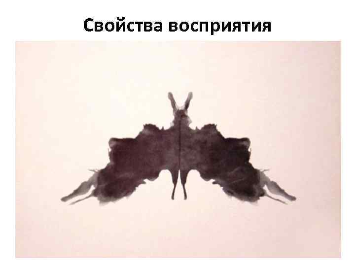 Свойства восприятия 