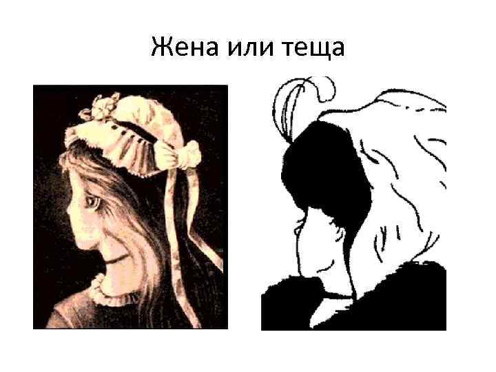 Рисунок моя жена и моя теща подсказка