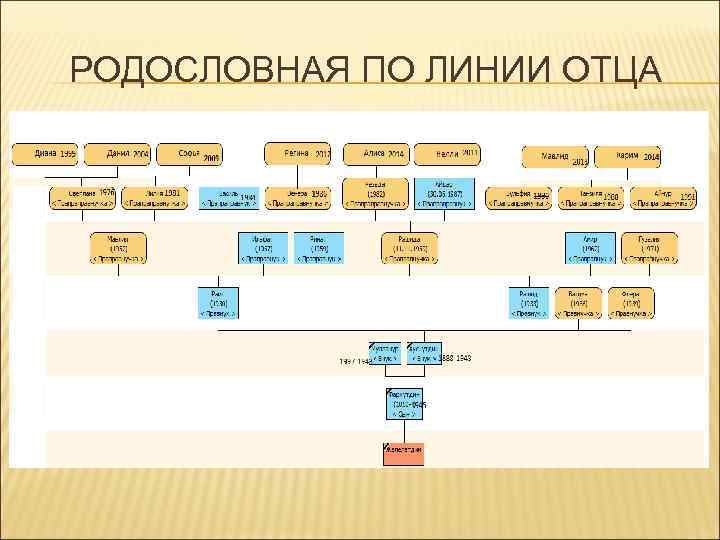 Линия отца. Родословная линия. Родословная по отцу. Генеалогическая линия. Родословная по папиной линии.