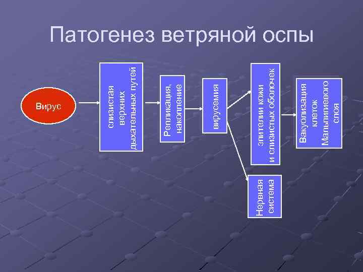 Нервная система Вирус Вакуолизация клеток Мальпигиевого слоя эпителии кожи и слизистых оболочек вирусемия Репликация,