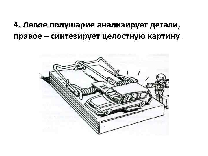 4. Левое полушарие анализирует детали, правое – синтезирует целостную картину. 