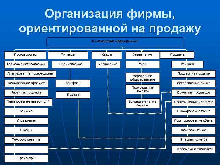 Организация фирмы, ориентированной на продажу Руководство предприятия Производство Базисные исследования Финансы Планирование производства Планирование