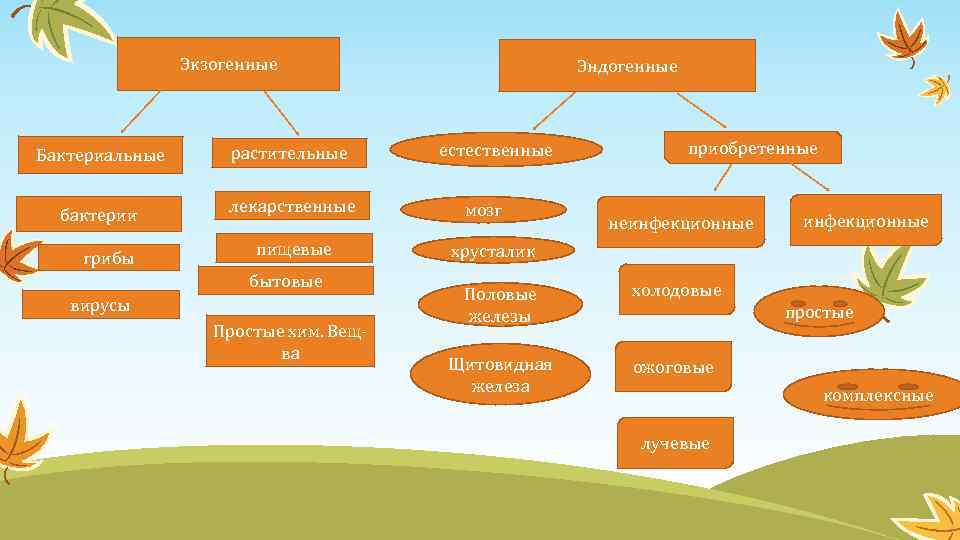 Экзогенные Бактериальные растительные бактерии лекарственные грибы пищевые бытовые вирусы Простые хим. Вещва Эндогенные естественные