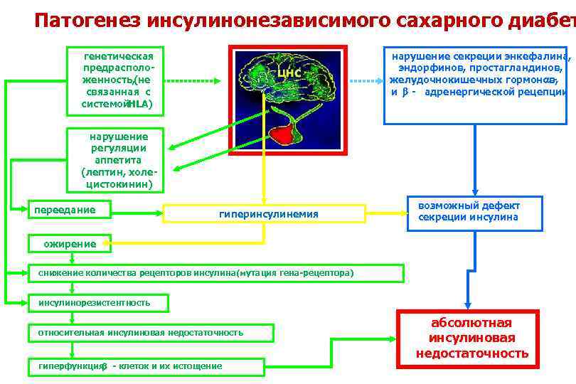 Патогенез сахарного