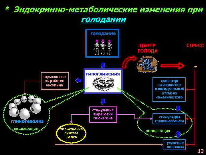 * Эндокринно-метаболические изменения при голодание ЦЕНТР ГОЛОДА торможение выработки инсулина компенсация гипогликемия транспорт аминокислот