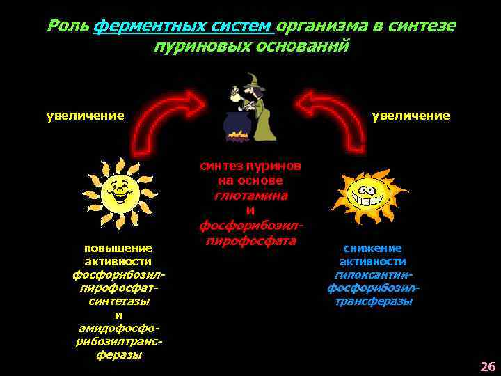 Роль ферментных систем организма в синтезе пуриновых оснований увеличение синтез пуринов на основе глютамина