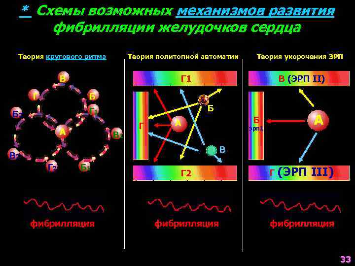 * Схемы возможных механизмов развития фибрилляции желудочков сердца Теория кругового ритма Теория политопной автоматии