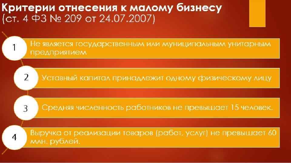 Организация бухгалтерского учета малого бизнеса