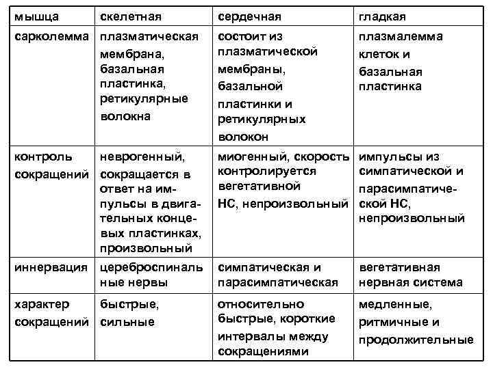 мышца скелетная сердечная гладкая сарколемма плазматическая мембрана, базальная пластинка, ретикулярные волокна состоит из плазматической