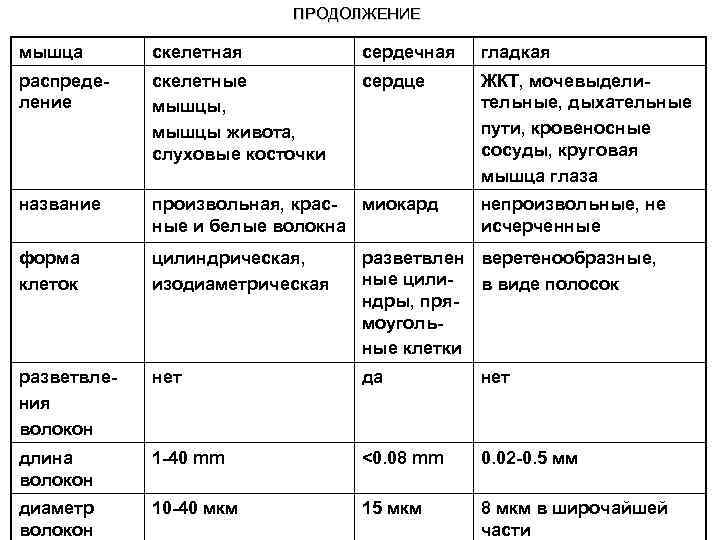 ПРОДОЛЖЕНИЕ мышца скелетная сердечная гладкая распределение скелетные мышцы, мышцы живота, слуховые косточки сердце ЖКТ,
