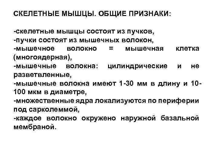 СКЕЛЕТНЫЕ МЫШЦЫ. ОБЩИЕ ПРИЗНАКИ: -скелетные мышцы состоят из пучков, -пучки состоят из мышечных волокон,