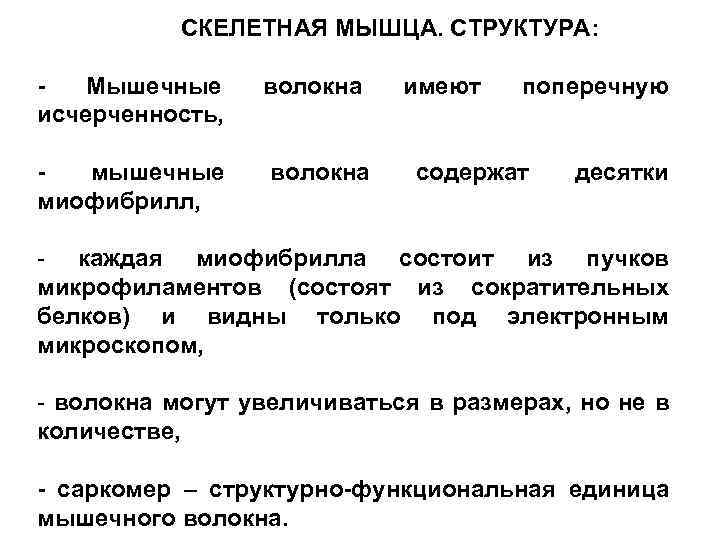 СКЕЛЕТНАЯ МЫШЦА. СТРУКТУРА: Мышечные исчерченность, мышечные миофибрилл, волокна имеют поперечную содержат десятки - каждая