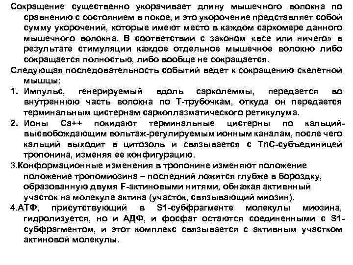 Сокращение существенно укорачивает длину мышечного волокна по сравнению с состоянием в покое, и это