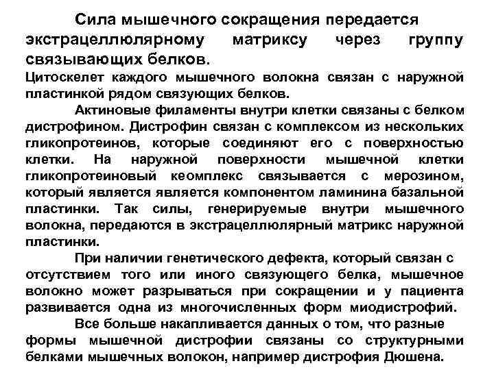 Сила мышечного сокращения передается экстрацеллюлярному матриксу через группу связывающих белков. Цитоскелет каждого мышечного волокна