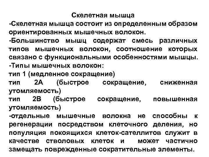 Скелетная мышца -Скелетная мышца состоит из определенным образом ориентированных мышечных волокон. -Большинство мышц содержат