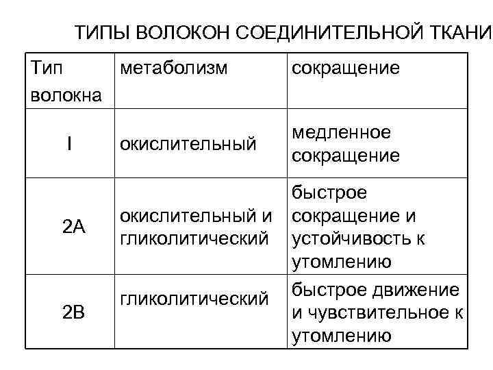ТИПЫ ВОЛОКОН СОЕДИНИТЕЛЬНОЙ ТКАНИ Тип метаболизм волокна I 2 A 2 B окислительный сокращение