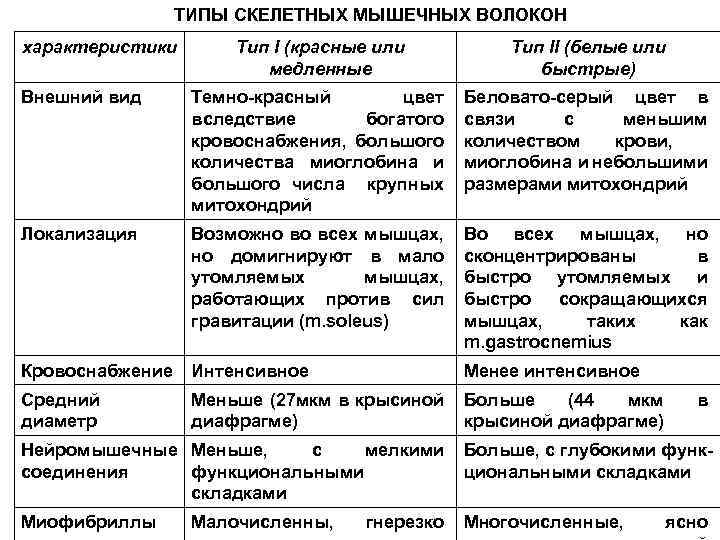 Красные и белые различие. Характеристика второго типа (белых) мышечных волокон. Типы скелетных мышечных волокон быстрые и медленные. Сравнительная характеристика белых и красных мышечных волокон. Сравнительная характеристика медленных и быстрых мышечных волокон.