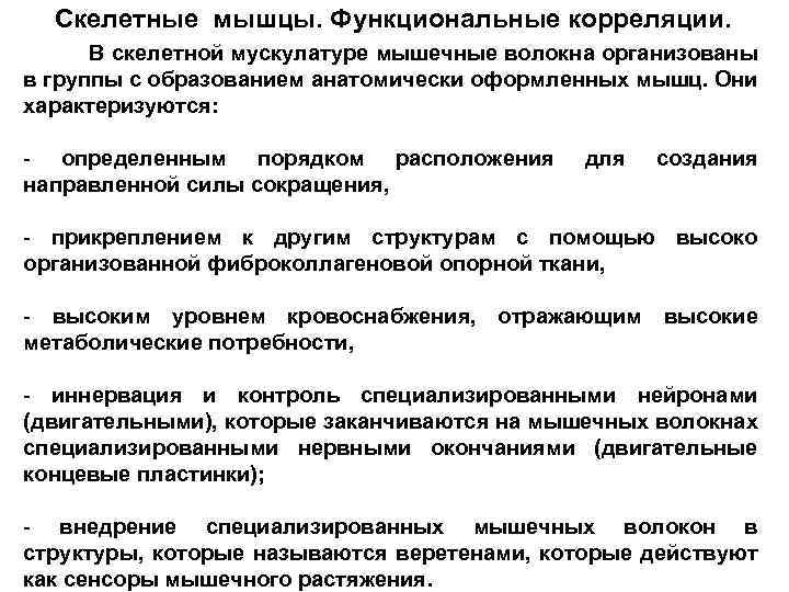 Скелетные мышцы. Функциональные корреляции. В скелетной мускулатуре мышечные волокна организованы в группы с образованием