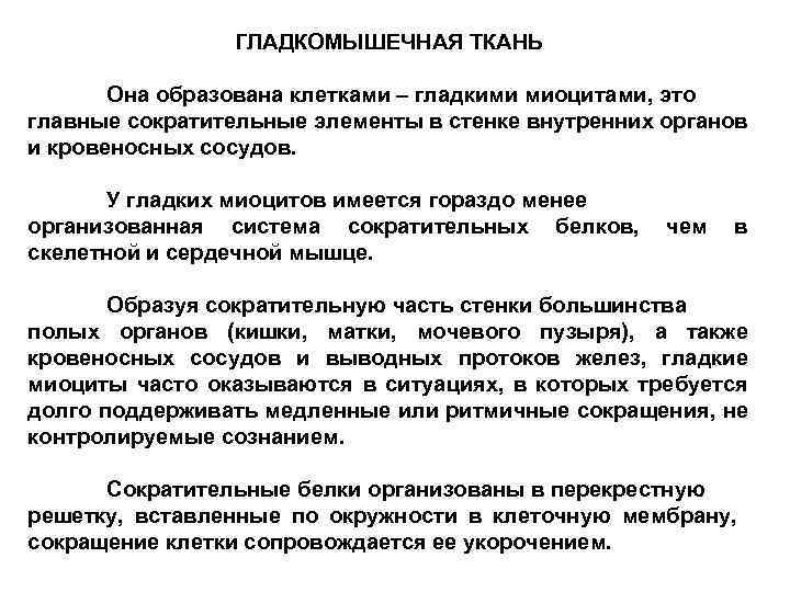 ГЛАДКОМЫШЕЧНАЯ ТКАНЬ Она образована клетками – гладкими миоцитами, это главные сократительные элементы в стенке
