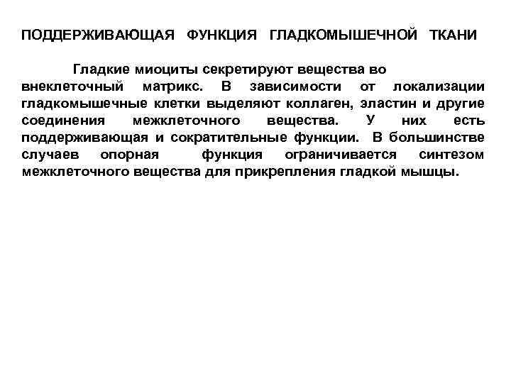 ПОДДЕРЖИВАЮЩАЯ ФУНКЦИЯ ГЛАДКОМЫШЕЧНОЙ ТКАНИ Гладкие миоциты секретируют вещества во внеклеточный матрикс. В зависимости от