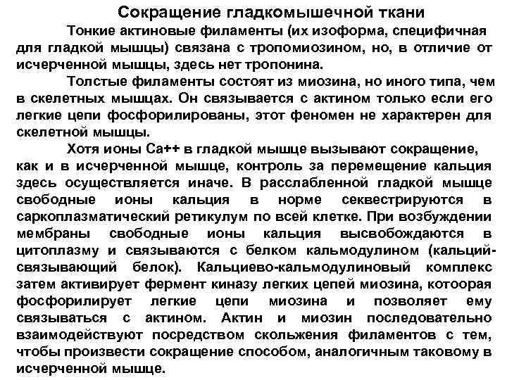 Сокращение гладкомышечной ткани Тонкие актиновые филаменты (их изоформа, специфичная для гладкой мышцы) связана с