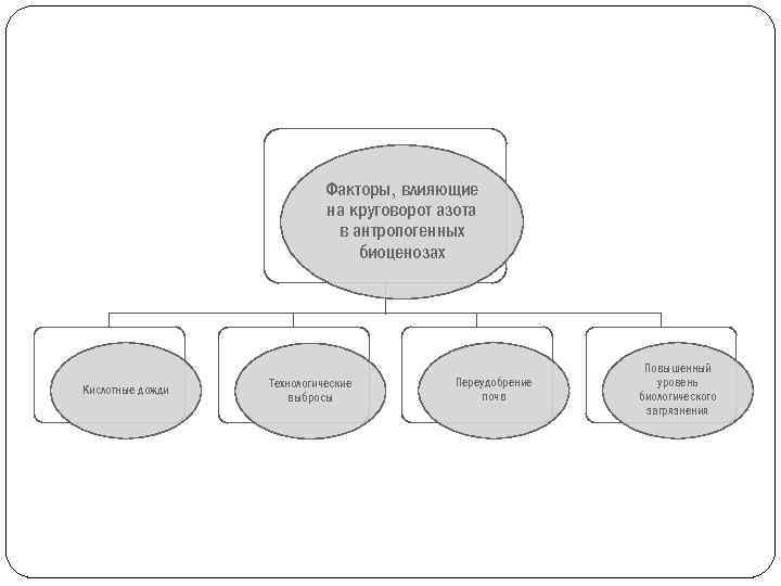 Факторы, влияющие на круговорот азота в антропогенных биоценозах Кислотные дожди Технологические выбросы Переудобрение почв
