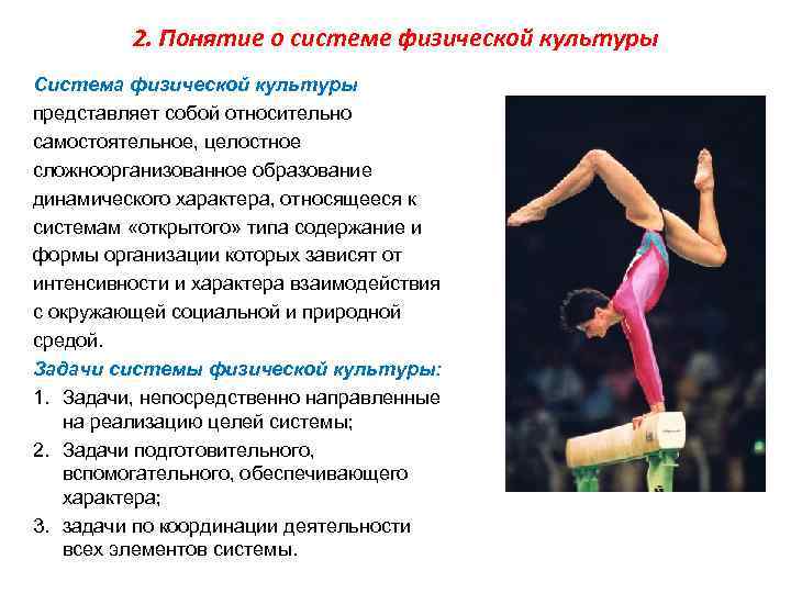 2. Понятие о системе физической культуры Система физической культуры представляет собой относительно самостоятельное, целостное