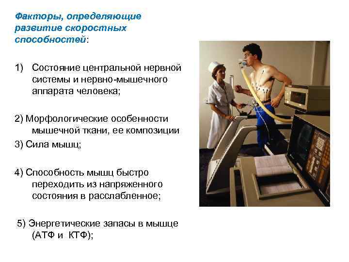 Факторы, определяющие развитие скоростных способностей: 1) Состояние центральной нервной системы и нервно мышечного аппарата