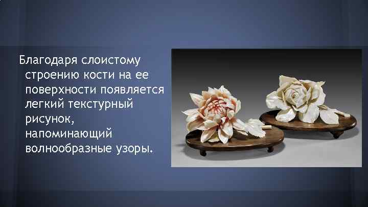 Благодаря слоистому строению кости на ее поверхности появляется легкий текстурный рисунок, напоминающий волнообразные узоры.