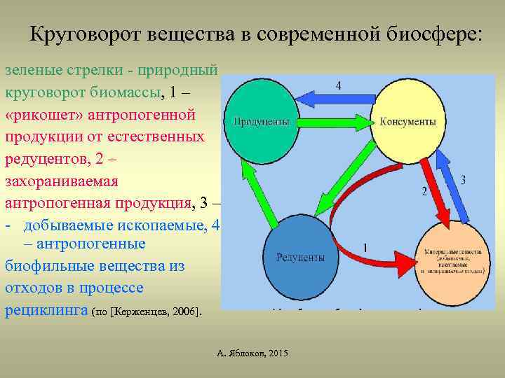 Химические процессы в биосфере. Круговорот веществ в биосфере. Биосфера круговорот веществ в биосфере. Круговорот в биосфере. Темпы циркуляции веществ в биосфере.