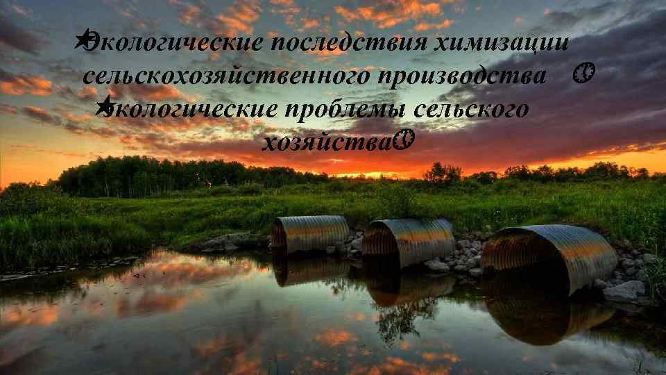  « Экологические последствия химизации сельскохозяйственного производства » « экологические проблемы сельского хозяйства» 