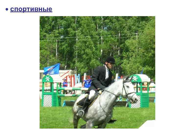  спортивные 