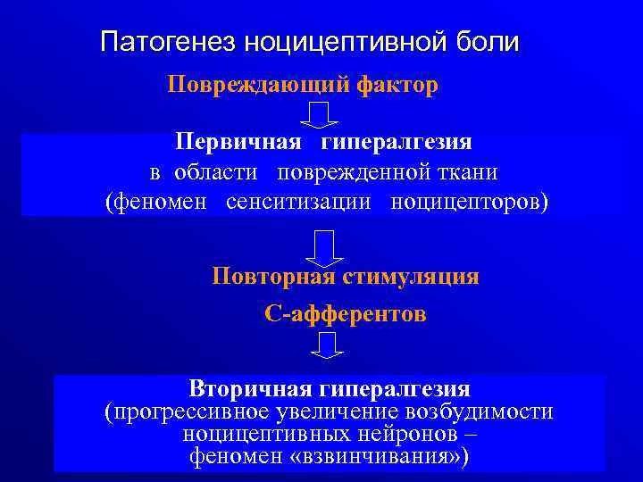 Патогенез ноцицептивной боли Повреждающий фактор Первичная гипералгезия в области поврежденной ткани (феномен сенситизации ноцицепторов)