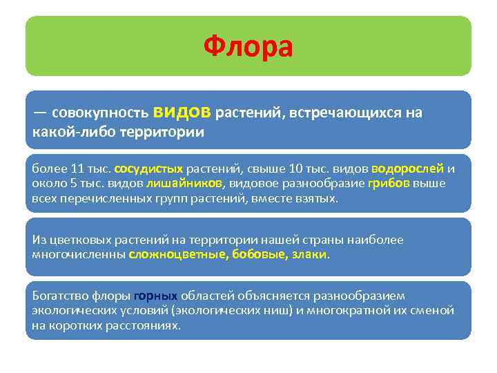 Флора — совокупность видов растений, встречающихся на какой-либо территории более 11 тыс. сосудистых растений,