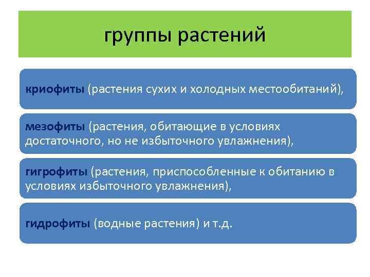 группы растений криофиты (растения сухих и холодных местообитаний), мезофиты (растения, обитающие в условиях достаточного,