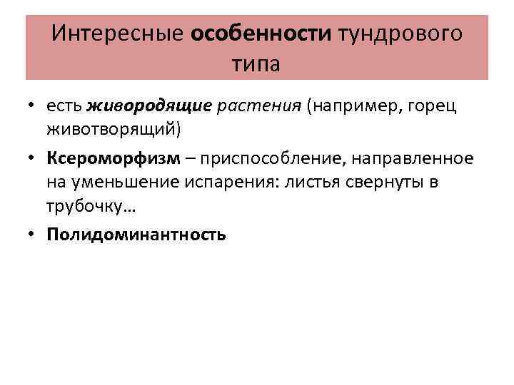 Интересные особенности тундрового типа • есть живородящие растения (например, горец животворящий) • Ксероморфизм –