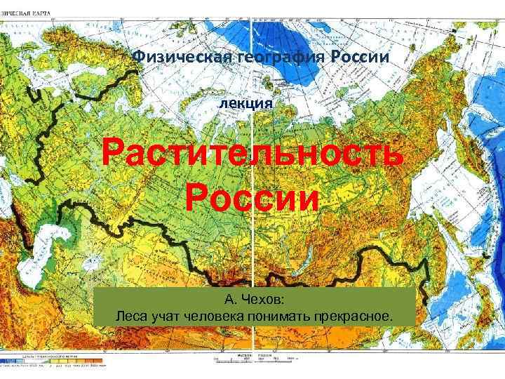 Физическая география России лекция Растительность России А. Чехов: Леса учат человека понимать прекрасное. 