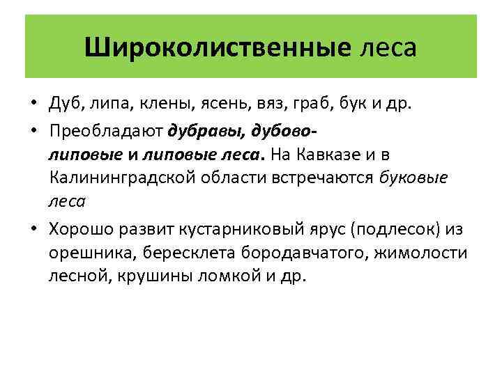 Широколиственные леса • Дуб, липа, клены, ясень, вяз, граб, бук и др. • Преобладают