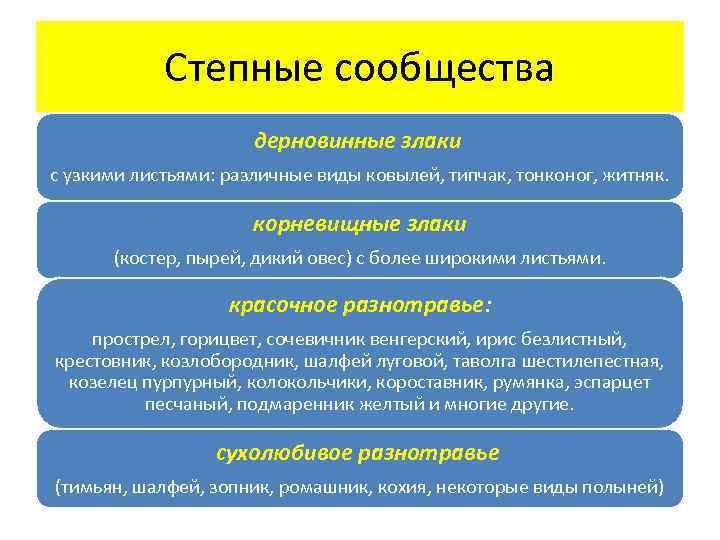 Степные сообщества дерновинные злаки с узкими листьями: различные виды ковылей, типчак, тонконог, житняк. корневищные
