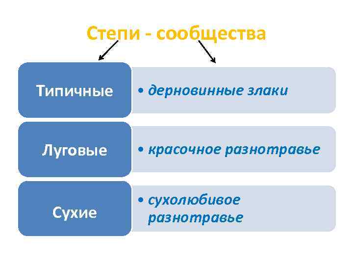 Степи - сообщества Типичные Луговые Сухие • дерновинные злаки • красочное разнотравье • сухолюбивое