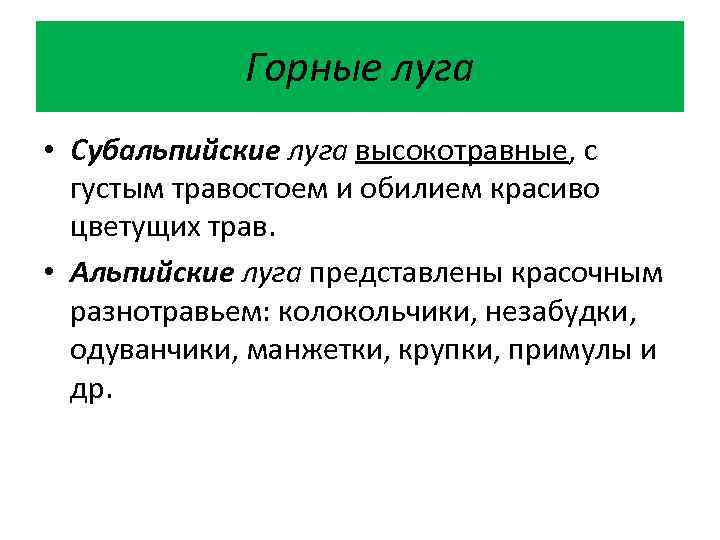 Горные луга • Субальпийские луга высокотравные, с густым травостоем и обилием красиво цветущих трав.