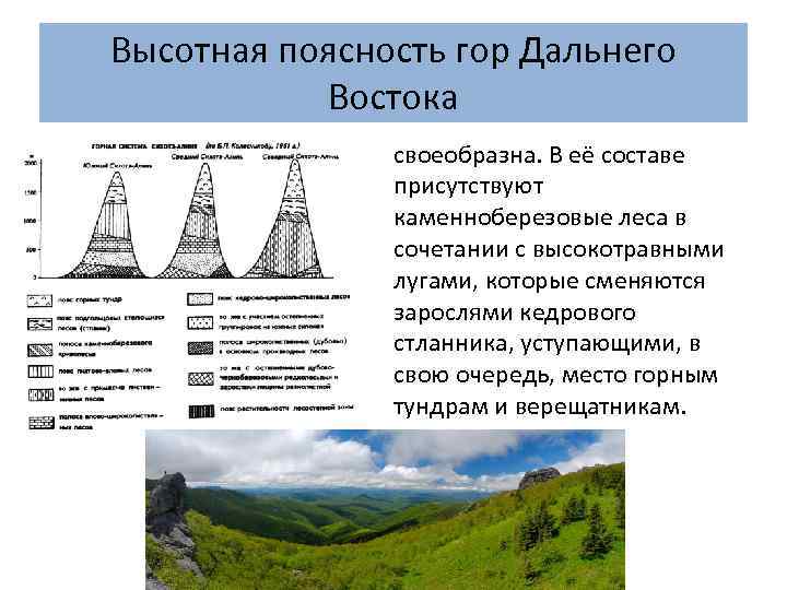 Уральские горы высотная поясность
