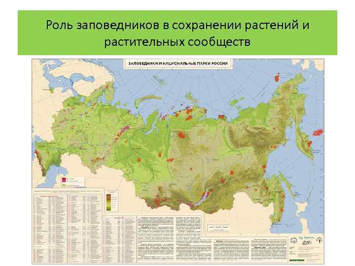 Роль заповедников в сохранении растений и растительных сообществ 