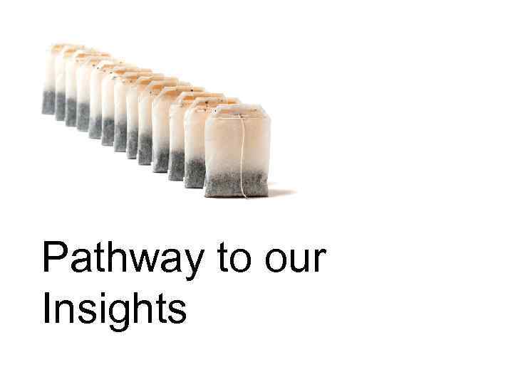 Pathway to our Insights 