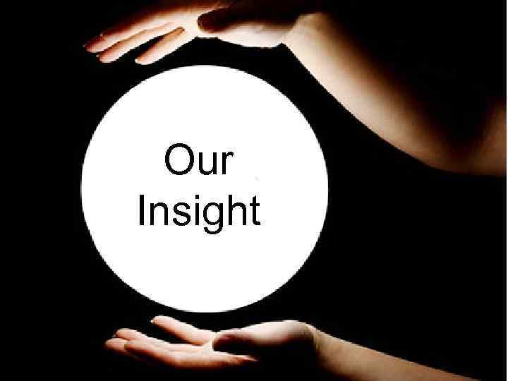 Our Insight 