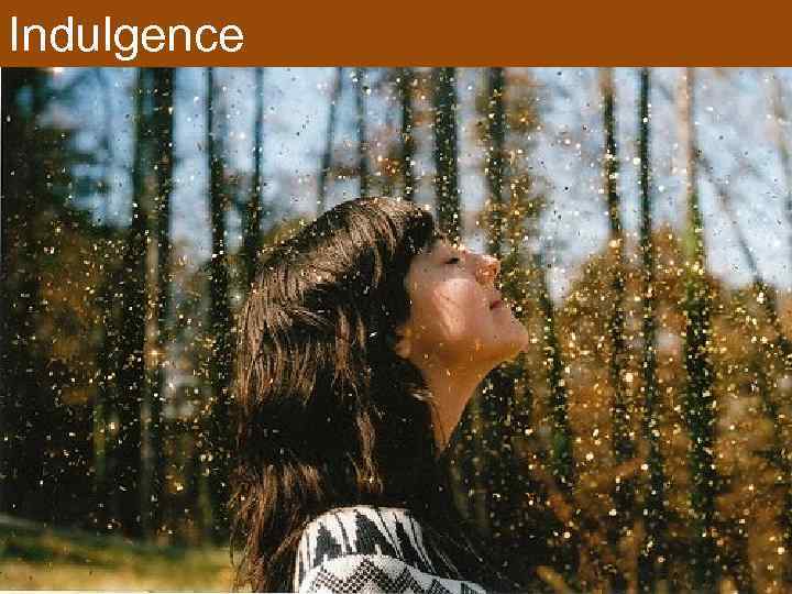 Indulgence 